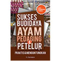 SUKSES BUDIDAYA AYAM PEDAGING  & PETELUR